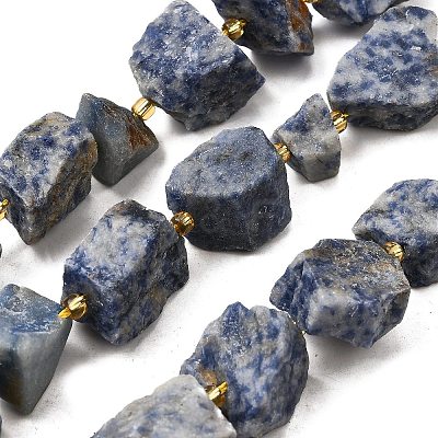 Raw Rough Natural Blue Spot Jasper Beads Strands G-Z087-B01-1