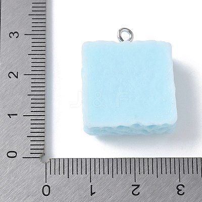 Opaque Resin Pendants RESI-Z033-02P-A-1