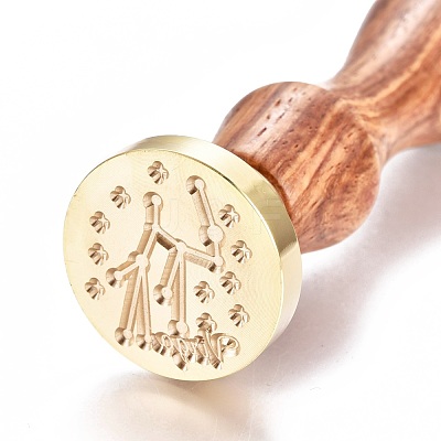 Brass Wax Seal Stamp AJEW-EO44-B11-1