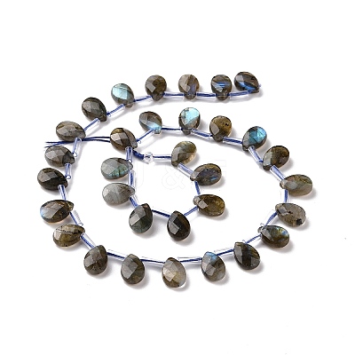 Natural Labradorite Beads Strands G-I246-09-A-1
