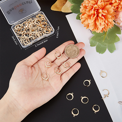 100Pcs 304 Stainless Steel Leverback Earring Findings STAS-BBC0002-03-1