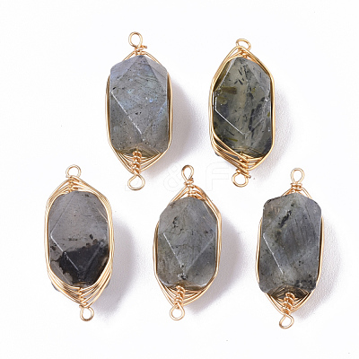 Natural Labradorite Links connectors G-T131-04A-1