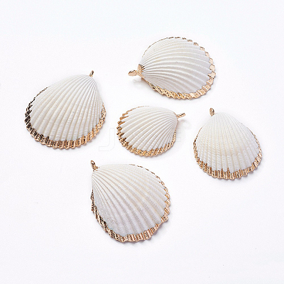 Shell Pendants SHEL-P075-03-1