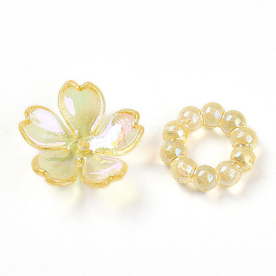 Transparent Acrylic Beads OACR-N137-73F-1