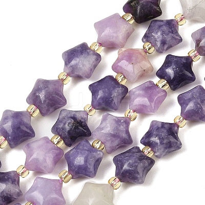 Natural Lepidolite Beads Strands G-Z080-A02-10mm-1