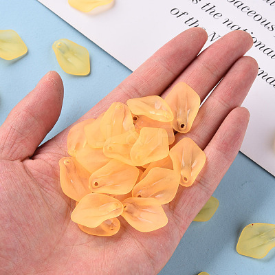 Transparent Frosted Acrylic Pendants MACR-S371-03A-719-1