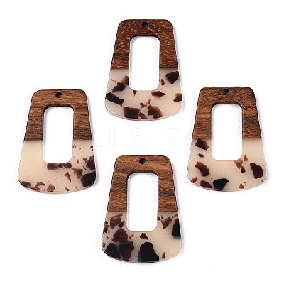 Transparent Resin & Walnut Wood Pendants RESI-TAC0017-72-B02-1