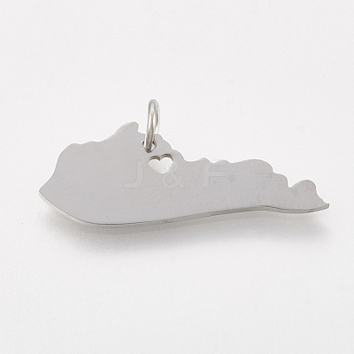 Tarnish Resistant 201 Stainless Steel Pendants X-STAS-T038-47-1
