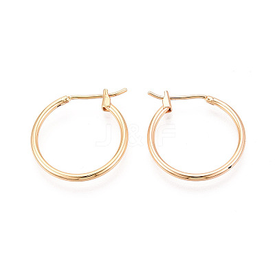 304 Stainless Steel Hoop Earrings EJEW-T048-25B-G-1