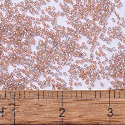 MIYUKI Delica Beads SEED-X0054-DB2042-1