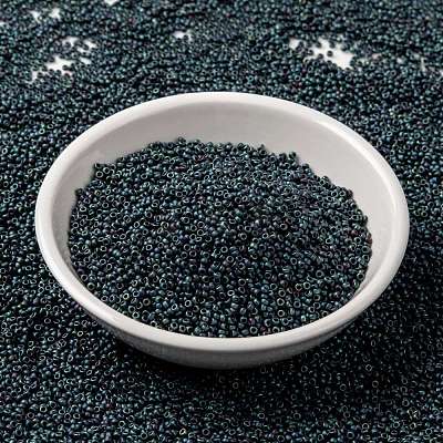 MIYUKI Round Rocailles Beads X-SEED-G009-RR2009-1