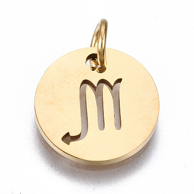 201 Stainless Steel Charms STAS-Q237-M003-6-1
