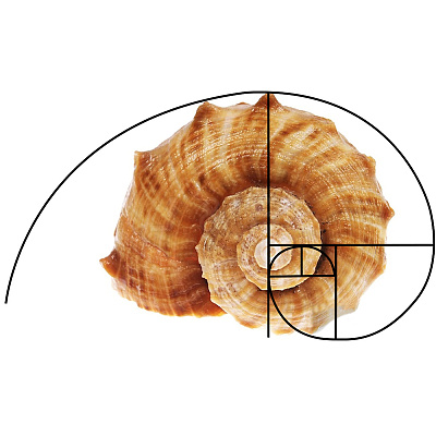 2Pcs Golden Ratio Plastic Fibonacci Composition View Finder AJEW-DR0001-85A-1