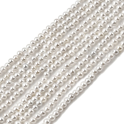 Electroplated Shell Pearl Beads Strands X-BSHE-K017-2mm-1