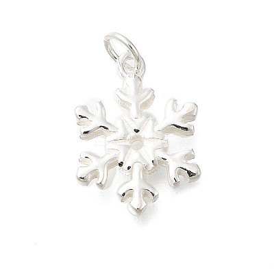 925 Sterling Silver Pendants STER-Q003-01F-S-1