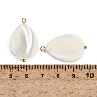 Natural Shell Teardrop Pendants STAS-D378-33G-1