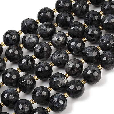 Natural Larvikite Beads Strands G-C249-A07-16mm-1