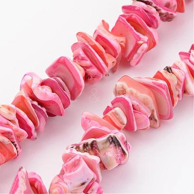 Natural Shell Bead Strands BSHE-P010-M-1