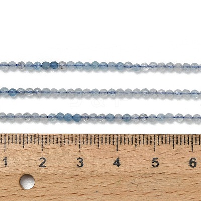 Gradient Color Natural Devil Blue Aquamarine Beads Strands G-NH0072-B01-2mm-1