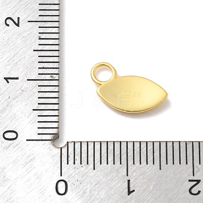 925 Sterling Silver Charms STER-Z012-04G-04-1