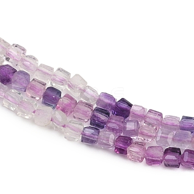 Natural Fluorite Beads Strands G-P457-B01-55-1