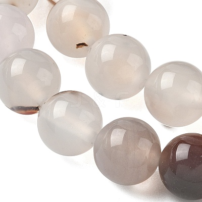 Natural Dendritic Agate Beads Strands G-C011-10mm-01-1