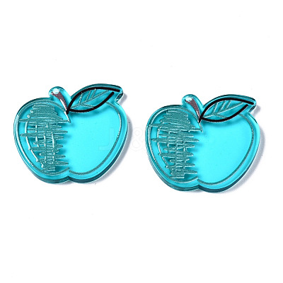 Translucent Acrylic Pendants TACR-T021-44D-1