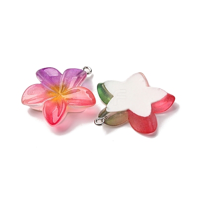Transparent Resin Pendants RESI-A046-05F-1