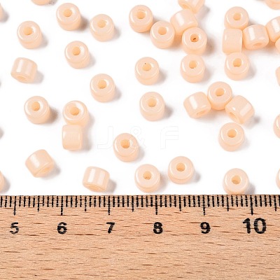 Opaque Baking Paint Glass Seed Beads X-SEED-T008-02C-1