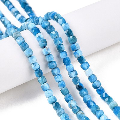 Natural Apatite Beads Strands G-N342-122-1