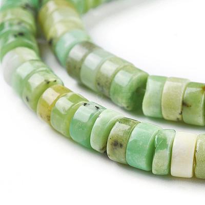 Natural Serpentine Beads Strands G-F612-03-1