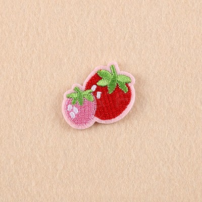 Computerized Embroidery Cloth Iron on/Sew on Patches DIY-F038-E03-1