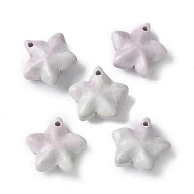 Natural Rainbow Alashan Agate Charms G-G194-02B-1
