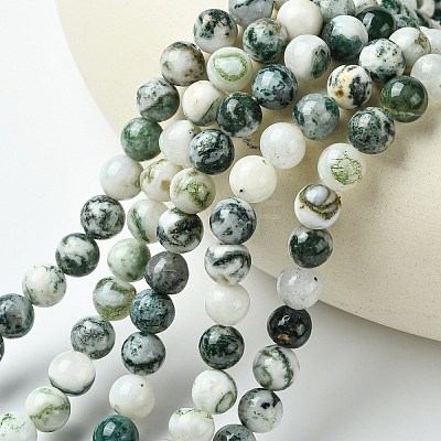 Natural Tree Agate Beads Strands X-G-K194-8mm-02-1