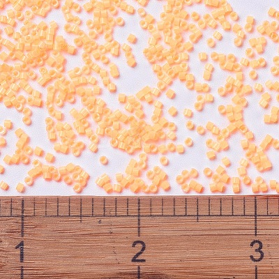 MIYUKI Delica Beads SEED-X0054-DB1855-1