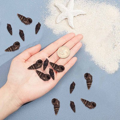Spiral Shell Beads SSHEL-SC0001-07-1