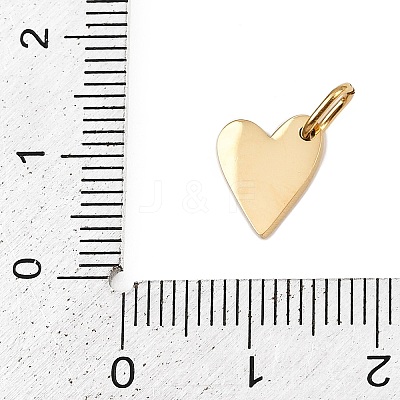 304 Stainless Steel Charms STAS-L291-01G-H-1