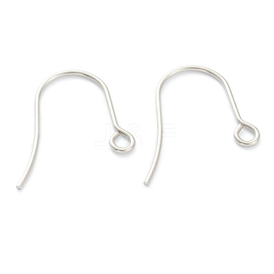 Tarnish Resistant 316 Surgical Stainless Steel Earring Hooks STAS-M288-02P-B-1