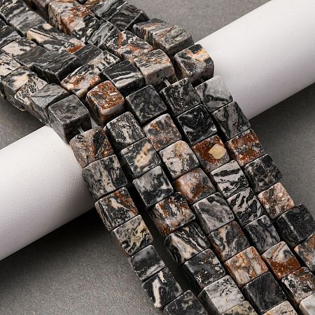 Natural Map Stone Beads Strands G-T139-8x8-45A-1