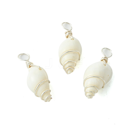 Natural Spiral Shell Pendants PALLOY-JF02792-02-1