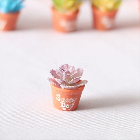 Mini Resin Artificial Succulent Plant Ornaments PW-WG32044-01-1