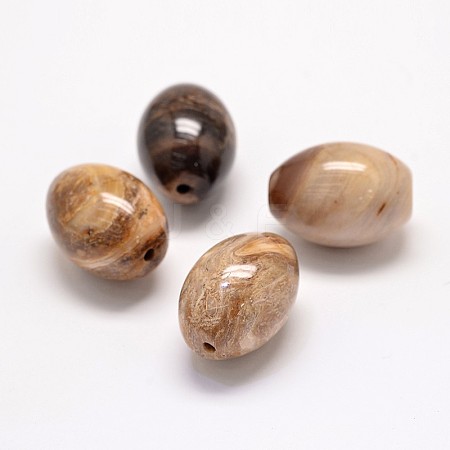 Natural Petrified Wood Beads G-P076-34B-1