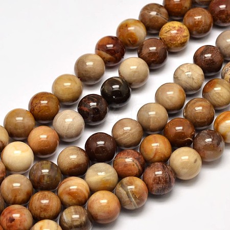 Natural Petrified Wood Round Bead Strands G-F266-08-10mm-1