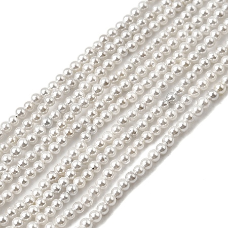 Electroplated Shell Pearl Beads Strands X-BSHE-K017-2mm-1