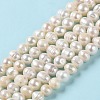 Natural Cultured Freshwater Pearl Beads Strands PEAR-E018-14-2