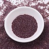 MIYUKI Delica Beads SEED-MY11-DB0129-2