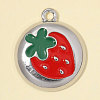 Zinc Alloy with Red Enamel Charms AL-OY001-41P-1