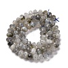 Natural Labradorite Beads Strands G-K380-A44-04-3