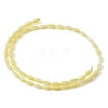 Natural Freshwater Shell Beads Strands SHEL-C010-01B-3