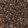 Transparent Glass Round Seed Beads X1-SEED-B001-05A-20-3